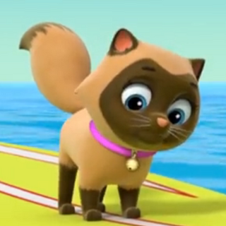 Unnamed Brown Cat Gallery PAW  Patrol  Wiki FANDOM 