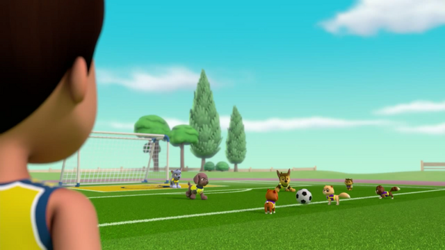 File:Pups Soccer 37.png