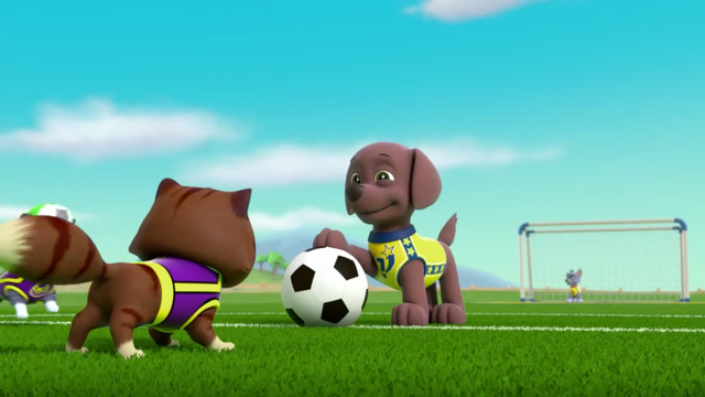 File:Pups Soccer 44.png