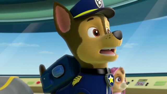 File:PAW.Patrol.S01E26.Pups.and.the.Pirate.Treasure.720p.WEBRip.x264.AAC 268502.jpg