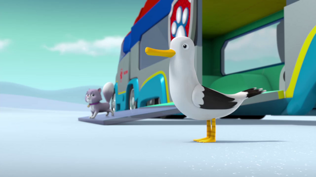File:Seagull Stowaway 1.png