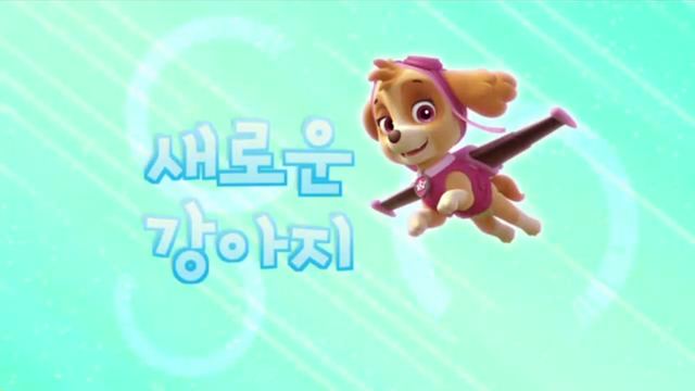 File:퍼피 구조대 새로운 강아지.png