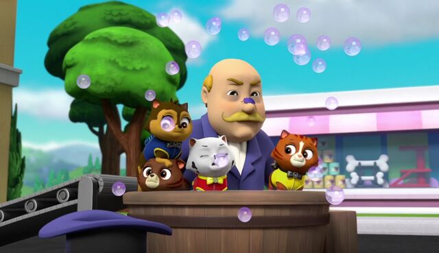 File:The Cat Show 8.jpg