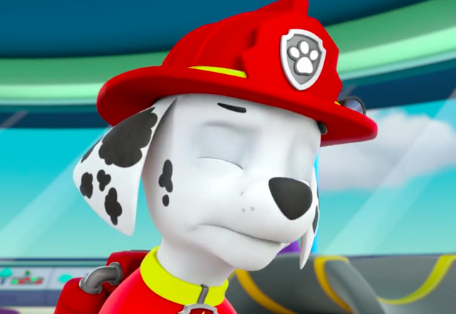 File:Screenshot 2017-05-19 10.21.48.png