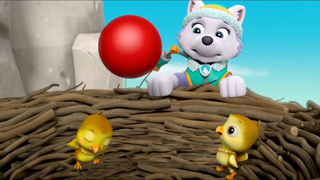 File:All Star Pups! 29.jpg