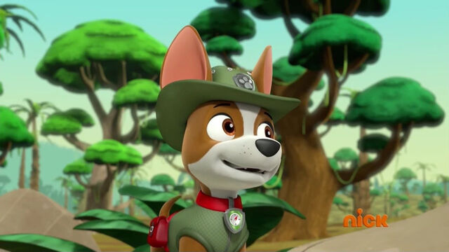 File:PAW Patrol 321A Scene 12.jpg