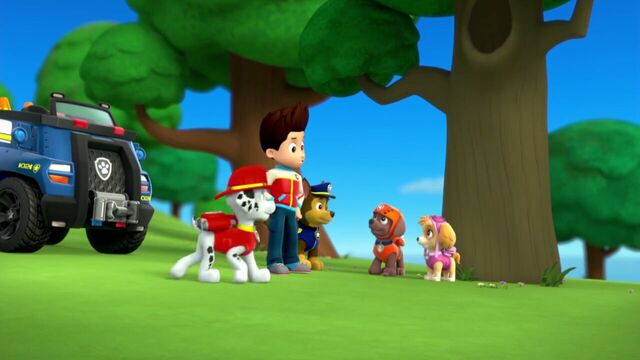 File:PAW.Patrol.S01E26.Pups.and.the.Pirate.Treasure.720p.WEBRip.x264.AAC 914881.jpg