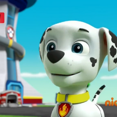 Marshall/Gallery/Pups Save a Surprise | PAW Patrol Wiki | FANDOM ...