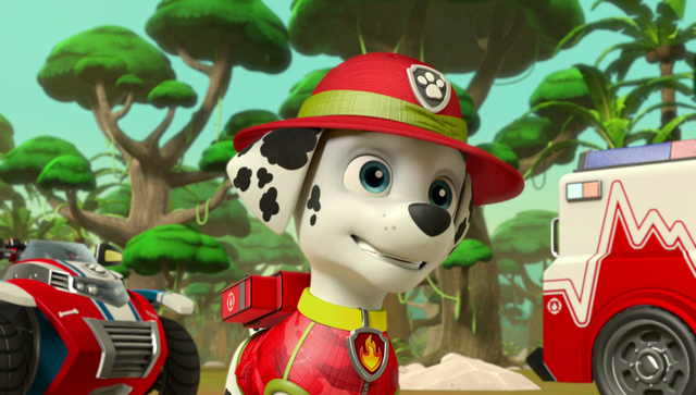 File:Vlcsnap-2016-09-01-20h10m06s823.png