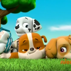 Rubble/Gallery/Pups and the Mischievous Kittens | PAW Patrol Wiki ...