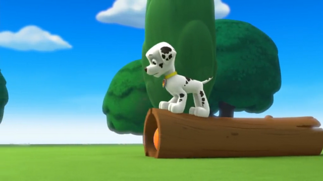 File:Circus Pup-Formers (Marshall).png