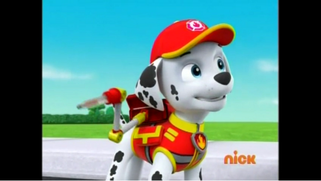 File:P20.png