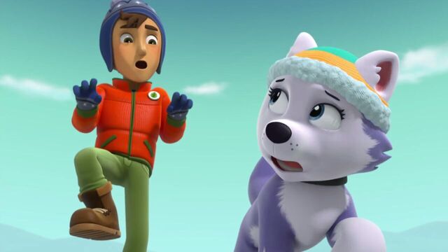 File:PAW.Patrol.S02E07.The.New.Pup.720p.WEBRip.x264.AAC 1015114.jpg