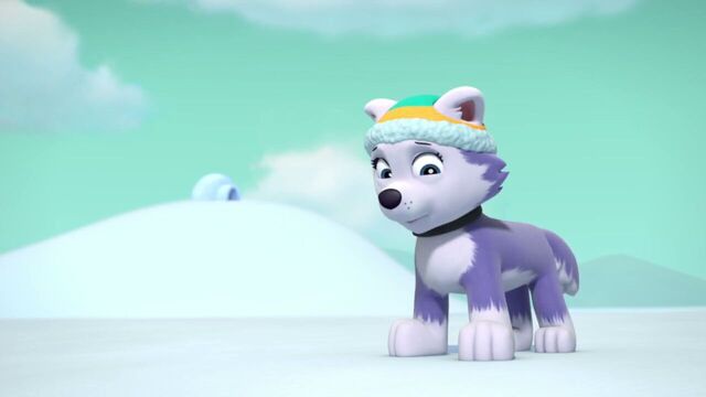 File:PAW.Patrol.S02E07.The.New.Pup.720p.WEBRip.x264.AAC 1228994.jpg
