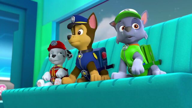 PAW PATROL 720P