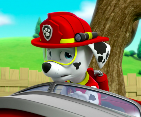 File:Screenshot 2017-05-01 08.03.01.png