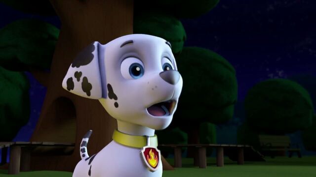 File:PAW.Patrol.S01E12.Pups.and.the.Ghost.Pirate.720p.WEBRip.x264.AAC 100200.jpg