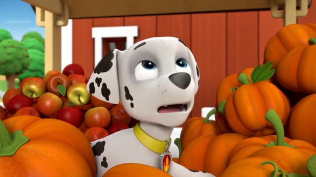 File:Fall Festival (Marshall looking up).png