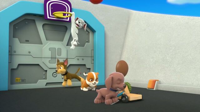 File:PAW.Patrol.S01E26.Pups.and.the.Pirate.Treasure.720p.WEBRip.x264.AAC 193660.jpg