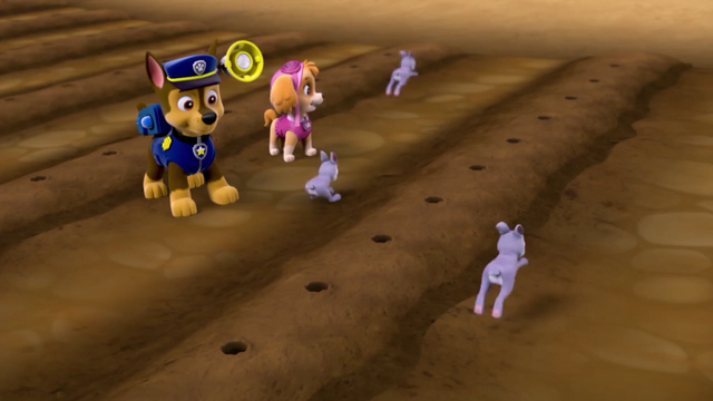 File:Screenshot 2016-12-17-22-29-43.png