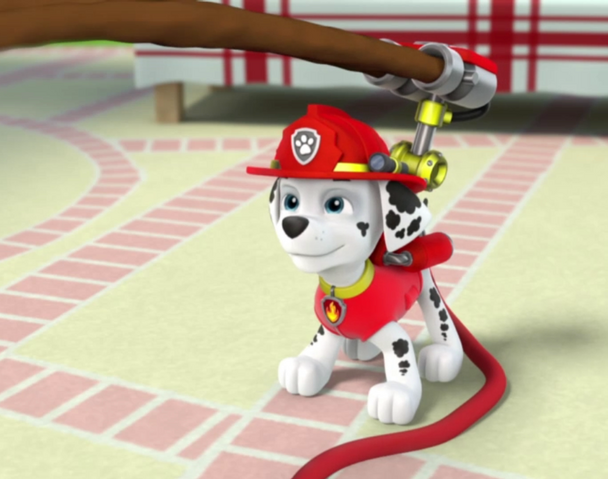 File:Vlcsnap-2014-05-26-20h06m48s24.png