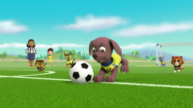 File:Pups Soccer 22.png