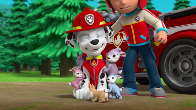 File:Vlcsnap-2015-04-17-22h09m09s203.png