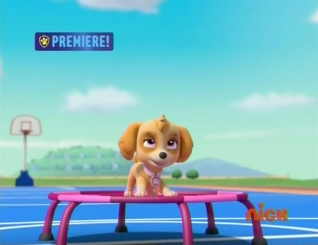 File:Pp1335.png