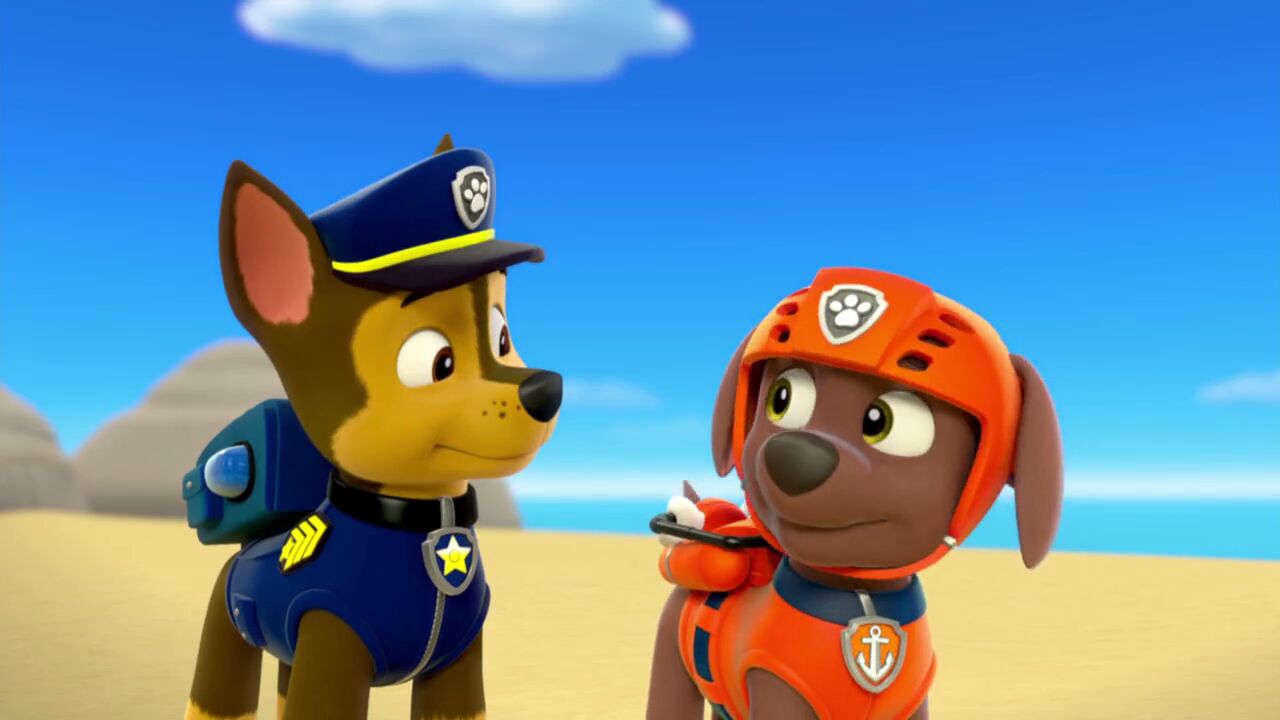 paw patrol pirate treasure