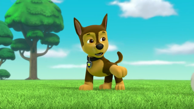 File:Pups Soccer 5.png