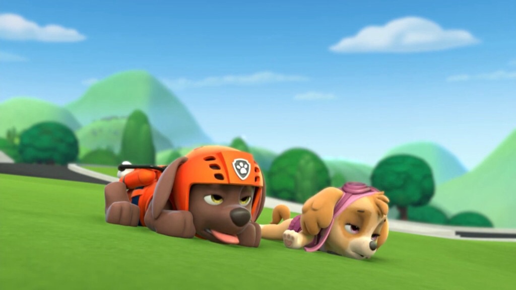 Paw Patrol Зума