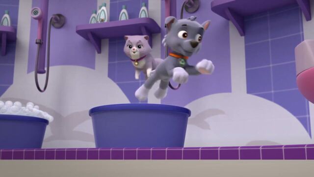 File:PAW.Patrol.S01E15.Pups.Make.a.Splash.-.Pups.Fall.Festival.720p.WEBRip.x264.AAC 197731.jpg
