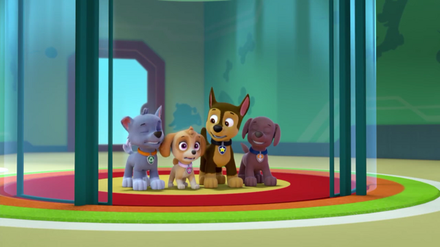 File:Screenshot 2017-03-03-20-52-40.png