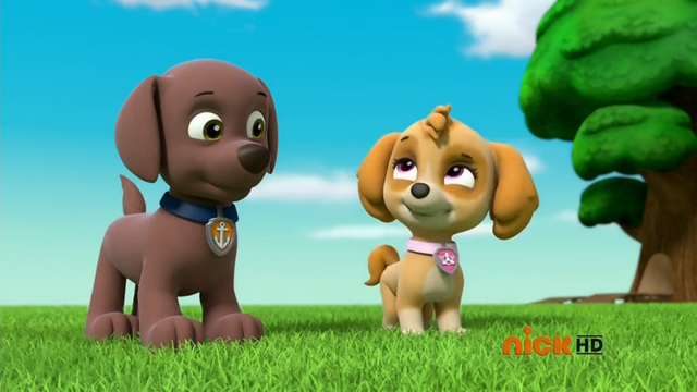 File:Surprise (Skye and Zuma).png