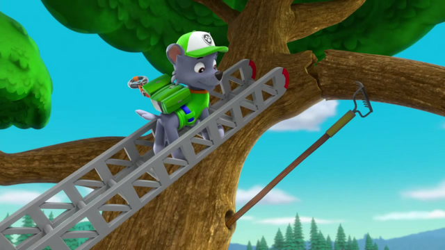 File:Lc24.png