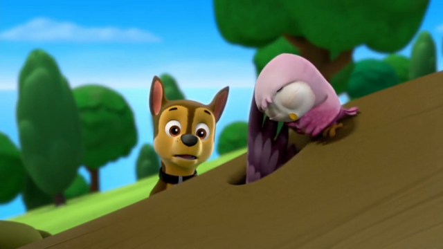 File:Hoot (Chase huh).png