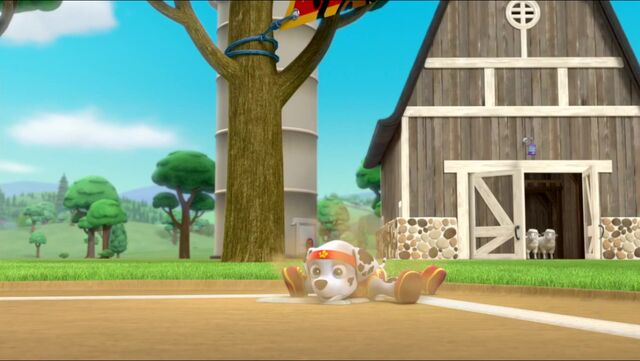 File:All Star Pups! 22.jpg