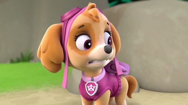 File:PAW.Patrol.S01E26.Pups.and.the.Pirate.Treasure.720p.WEBRip.x264.AAC 710944.jpg