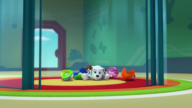 File:Vlcsnap-2015-04-11-15h43m41s163.png