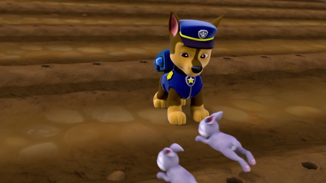 File:Screenshot 2016-12-17-22-25-44.png
