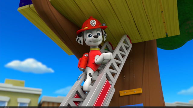 File:Pp111.png