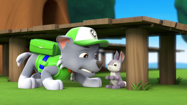 File:Pp2146.png