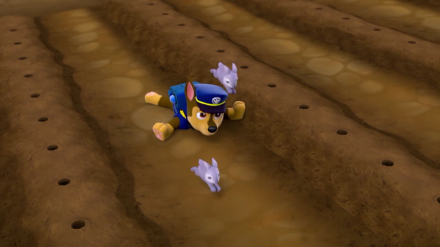 File:Screenshot 2016-12-17-22-24-16.png