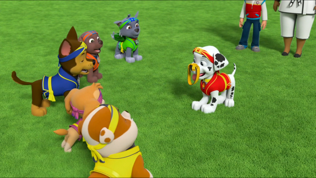 File:Pup-Fu! 187.png