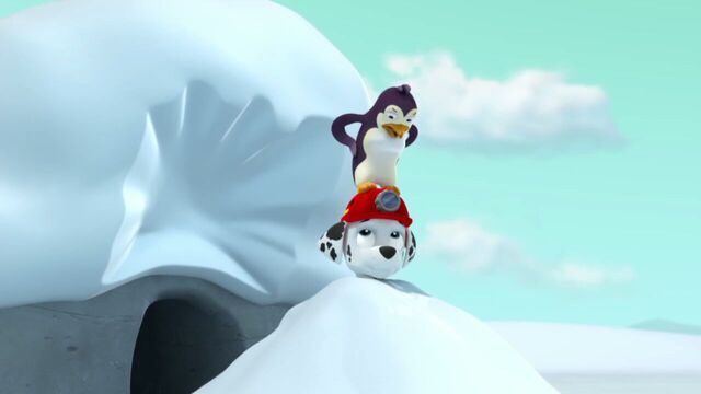File:PAW.Patrol.S02E07.The.New.Pup.720p.WEBRip.x264.AAC 803770.jpg