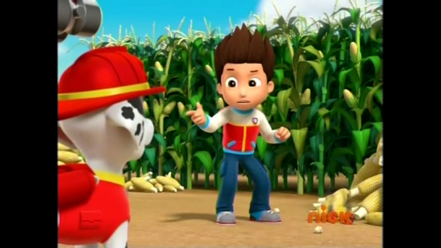 File:Pp2008.png
