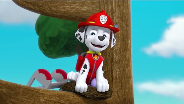 File:PAW Patrol Pups Save the Songbirds Scene 45.jpg