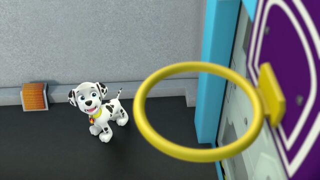 File:PAW.Patrol.S01E26.Pups.and.the.Pirate.Treasure.720p.WEBRip.x264.AAC 129596.jpg