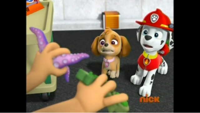 File:W3.png