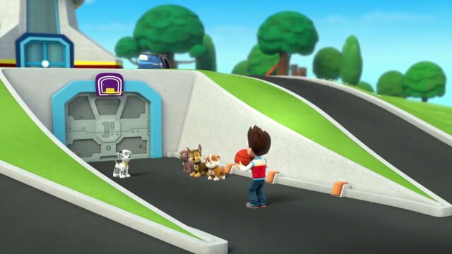 File:PAW.Patrol.S01E26.Pups.and.the.Pirate.Treasure.720p.WEBRip.x264.AAC 134368.jpg